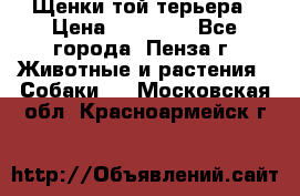 Щенки той терьера › Цена ­ 10 000 - Все города, Пенза г. Животные и растения » Собаки   . Московская обл.,Красноармейск г.